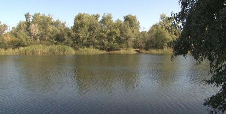 В Волгоградской области заказали разведку мест для новых плотин в Волго-Ахтубинской пойме