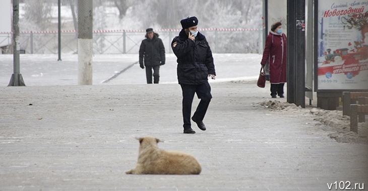 Туман, гололед и морось: Волгоградской области не обещают солнечных деньков