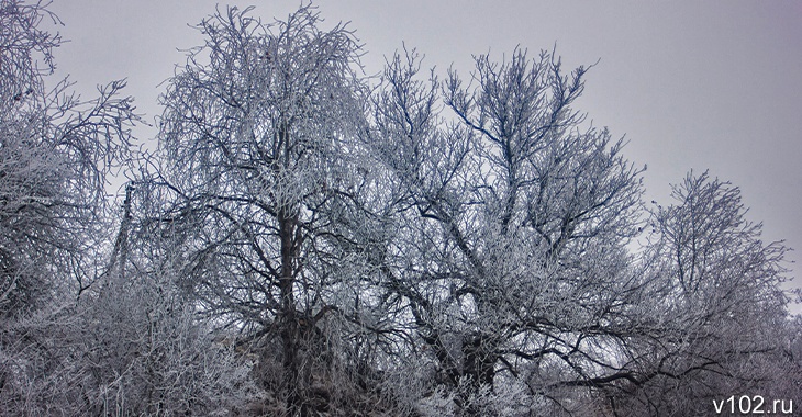 Мокрый снег, дождь и туман: на трассах в Волгоградской области ждут непогоду