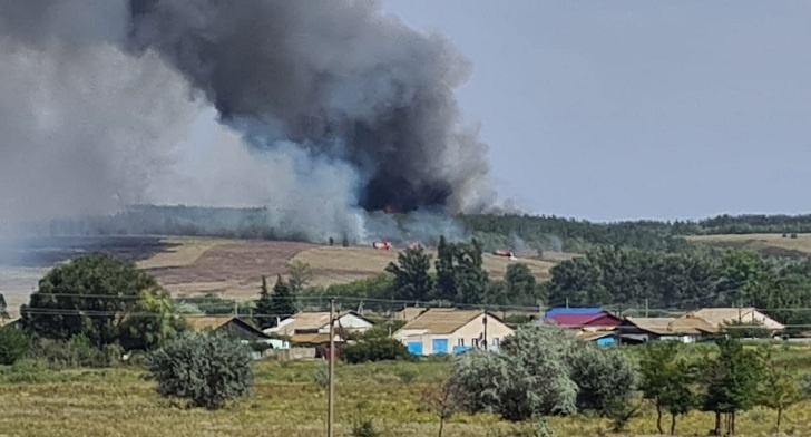 Село в Волгоградской области отстояли от лесного пожара