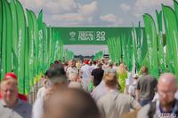 Лучшие моменты Всероссийского дня поля под Волгоградом сняли на видео