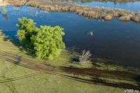 14,5 млн мальков рыбы пополнили волгоградские водоемы в 2025 году