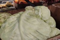 Продукты-рекордсмены по росту цен перед Новым годом названы в Волгограде