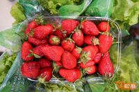 В Волгоградской области собрали рекордный урожай фруктов и ягод