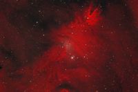 «Роскосмос» показал космическую елку в канун Рождества