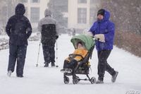 Маткапитал с 1 февраля увеличат в Волгограде до 974,1 тыс. рублей