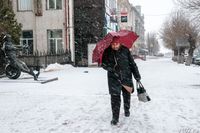 То дождь, то снег прогнозируют синоптики в Волгограде в ближайшие сутки