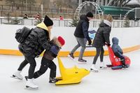 "Подумывали о переезде в более северные регионы": теплеющие зимы ставят под удар работу катков в Волгограде