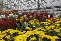 Волгоградский ботанический сад побил рекорд по посещаемости