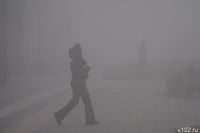 Туман сковал трассы соседнего с Волгоградской областью региона