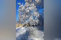 Снег запорошил район в Волгоградской области