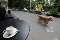 «Криза не будет. Если не пить его литрами»: как зависимость от кофе влияет на здоровье волгоградцев