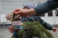 «На душе становится теплее»: в Волжском традиция утеплять сусликов к холодам получила продолжение