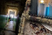 Бастрыкин в третий раз заступился за жильцов убитой общаги на юге Волгограда