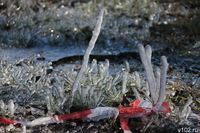 Гидрометцентр предупредил об опасной погоде в Волгоградской области