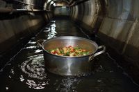 Волгоградцы стали реже спускать в унитазы новогодние салаты