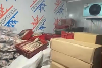 В Волгограде обнаружили нелегальный цех с тоннами копченой рыбы