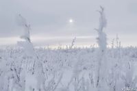 Северо-восток Волгоградской области сковал лед