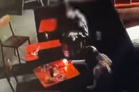 Поджигательниц столика в ТЦ нашли полицейские по видео под Волгоградом