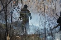 В Волгоградской области на 60% снизилось количество ЧС