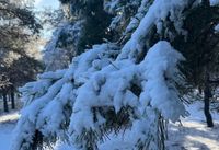 Крещенские морозы до -27 идут в Волгоградскую область