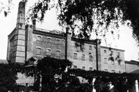 «За вкус император наградил золотыми часами»: как Сарептская горчица стала символом Волгоградской области