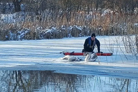Под Ростовом спасли лебедя, охранявшего погибшую возлюбленную