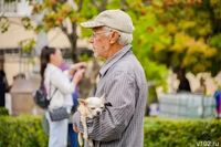 250 тысяч жителей Волгоградской области включились в «Активное долголетие»