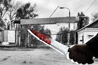 Психбольницу в Ложках после убийства пациентом санитара возглавил Игорь Кондратьев