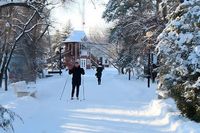 Волгоградцев приглашают встать на лыжню в Комсомольском саду