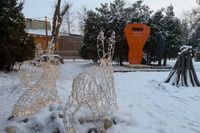 Свой вес в морковках волгоградцы смогут узнать в ЦПКиО