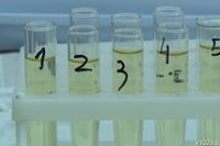 300 тонн сои из Волгоградской области забраковали из-за пестицидов