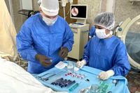 Саратовского медуниверситета внедряет инновационный метод лечения суставов — SVF-терапию