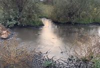 Волгоградскую компанию обязали выплатить 87 млн за нефтяные озера