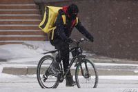 В Волгограде к 9 месяцам «строгача» приговорили курьера службы доставки