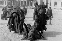 «Жалкая толпа бредет к своему последнему пристанищу»: как в спасшемся от оккупации районе Сталинграда появился лагерь для фашистов