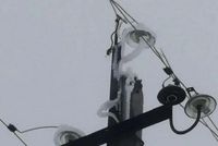 В двух районах Волгоградской области «остекленели» линии электропередач