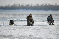 Волгоградцам перечислили запреты на рыбалку в 2026 году