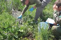 Под Волгоградом с коммунальщиков взыскали 14 млн рублей за утечку стоков