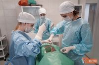 Миниздрав утвердил минимальные баллы по ЕГЭ для поступления в ВолгГМУ