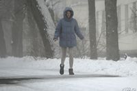 Гололёд в Волгограде: школы на дистанте, обращение МЧС  и закрытие парков