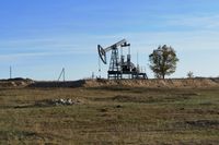 Под Волгоградом выставлено на торги месторождение с 3,7 млн тонн нефти