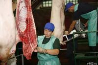 В Камышине производитель «продлил» жизнь свинине и курятине