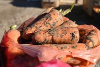 Волгоградские фермеры отправили в Казахстан очередную партию овощей