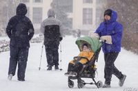 Волгоградским мамам в декрете начнут доплачивать за совместительство
