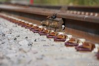 В Ростове расторгли миллирадный контракт с компанией по проекту трамвайных путей