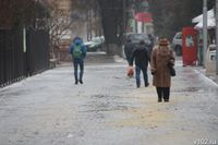 Гидрометцентр предупредил волгоградцев о ветре, жутком гололёде и тумане