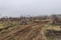 В Волгограде начнут возрождение дендрария «ФНЦ агроэкологии РАН»