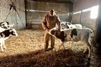 «Я выжил. Значит, должен сделать что-то нужное и хорошее»: лишившийся обеих ног участник СВО открыл ферму под Волгоградом