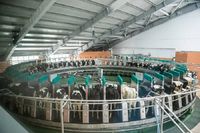 В Волгограде нашли сметану с «темным» прошлым